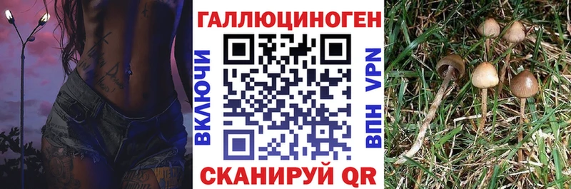 Псилоцибиновые грибы ЛСД  Купить где  Белоярский 